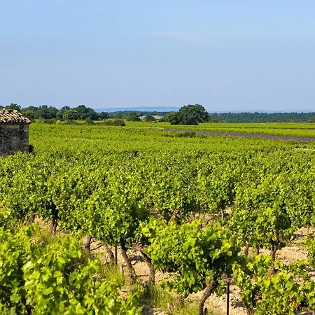 Les Lavandins Villa