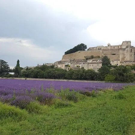 Les Lavandins Villa *