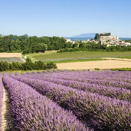 Les Lavandins Taulignan